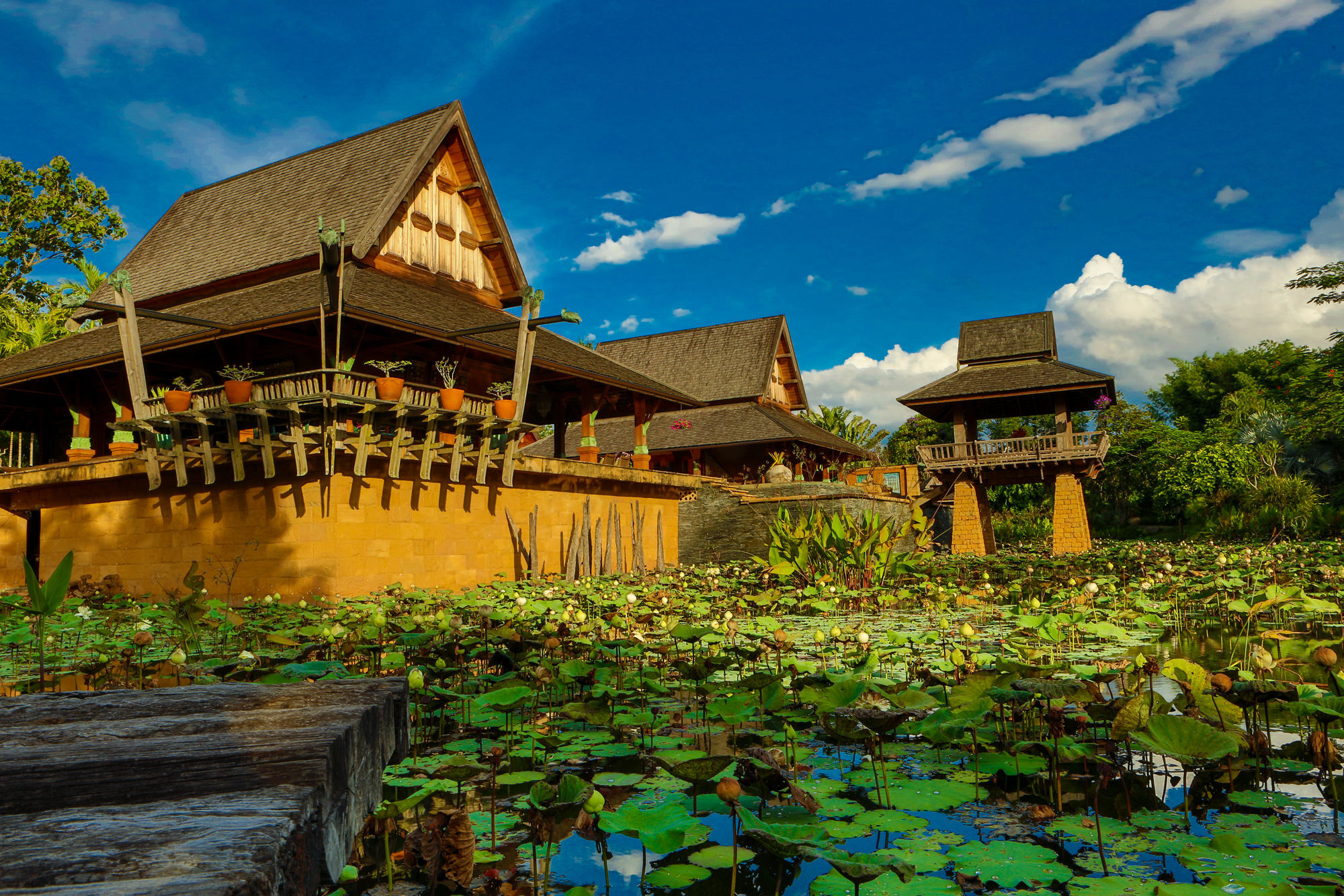 Howie's HomeStay Mae Rim Zewnętrze zdjęcie