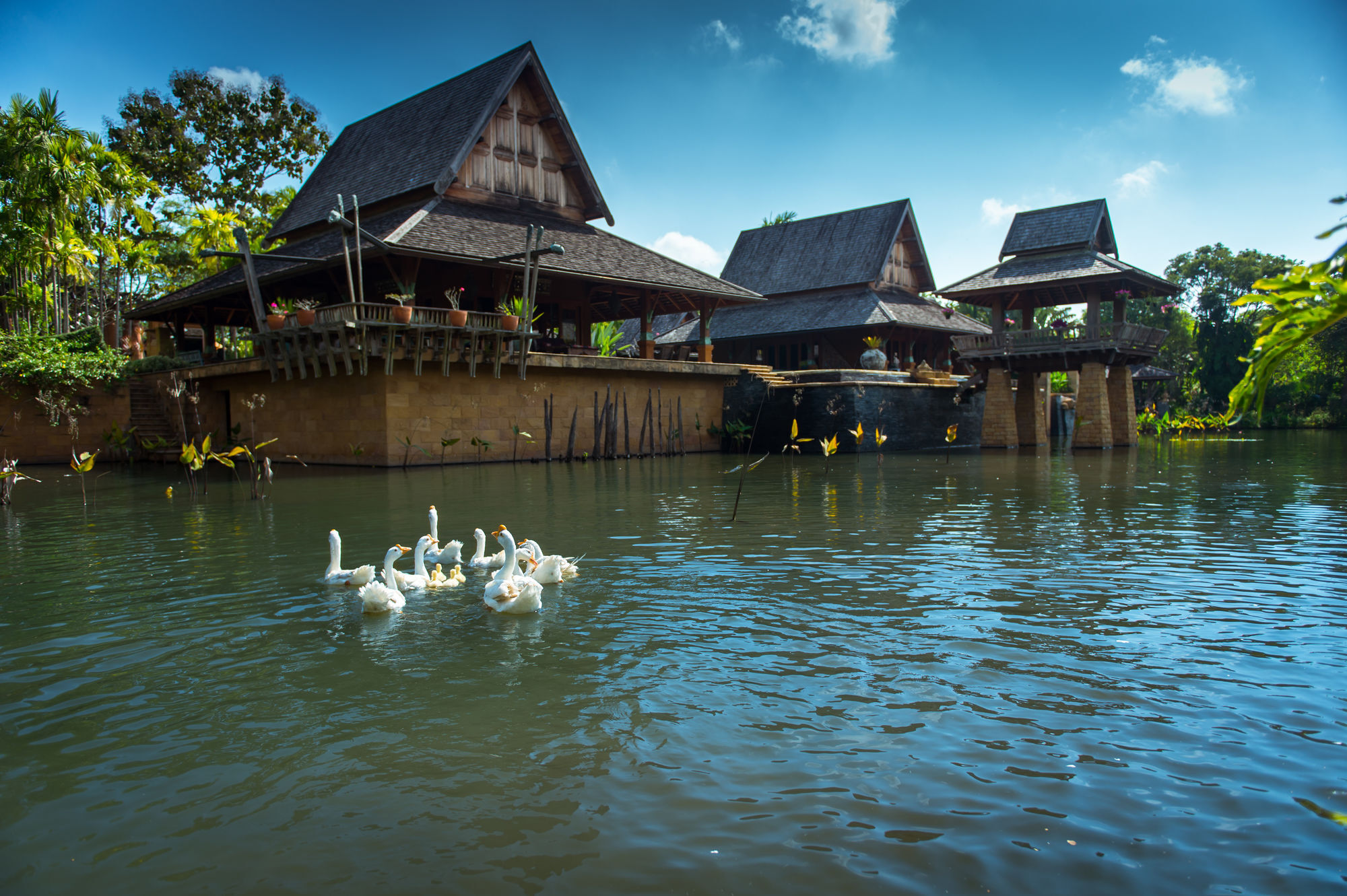 Howie's HomeStay Mae Rim Zewnętrze zdjęcie